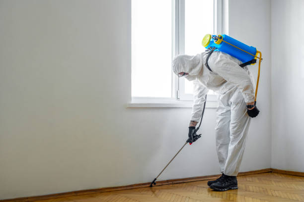 Insect Control in Franklin, GA