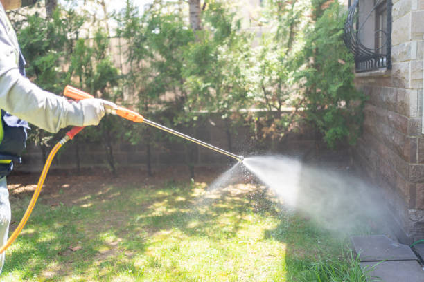 Best Rat Extermination Near Me  in Franklin, GA