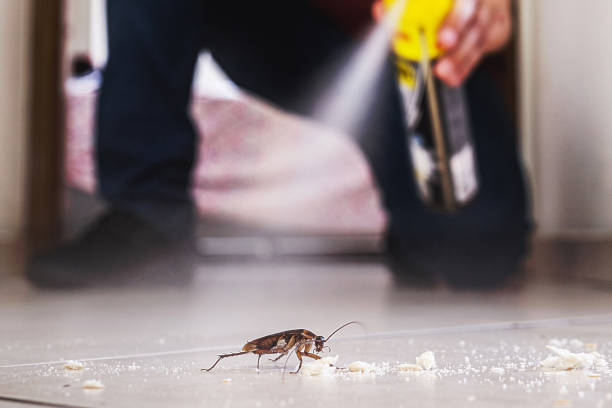Best Best Pest Control Companies  in Franklin, GA